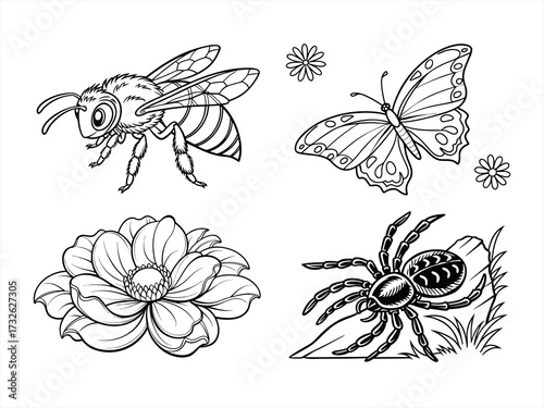 coloring page line art the butterfly black vector bundle