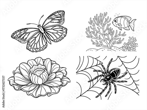 coloring page line art the butterfly black vector bundle