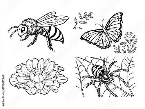 coloring page line art the butterfly black vector bundle