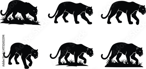 PrintPanther silhouette walking in jungle grass, wild jaguar predator vector illustration, dangerous carnivore feline artwork, exotic animal design, wildlife hunting scene