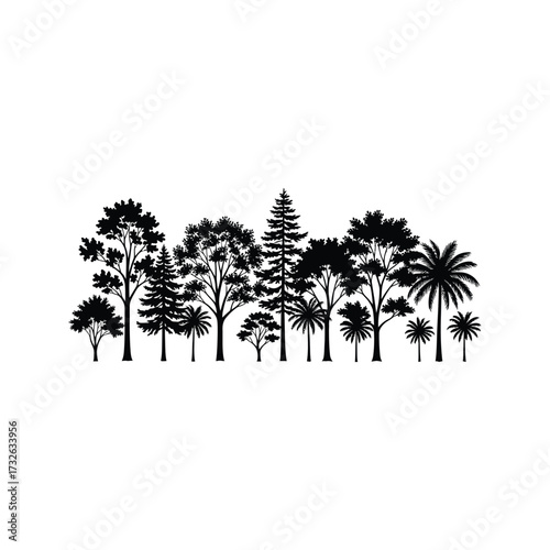 Diverse silhouettes of various trees including palm trees and conifers against white background