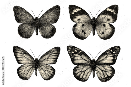Vintage halftone butterfly collection with grunge photocopy texture. Retro monochrome insect illustration for collage. Trendy y2k style entomology design elements.