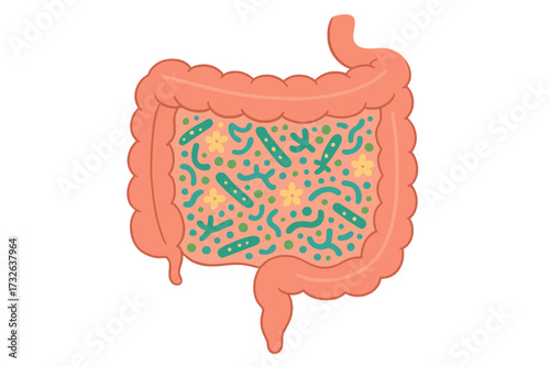 Gut health, human digestive system with healthy probiotic bacteria. Abstract internal organ with microbiome, flora inside. Anatomy concept vector flat cartoon illustration