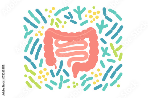 Human microbiome concept with abstract intestines and healthy bacteria pattern. Gastroenterology vector. Gut flora with bifidobacterium, lactobacilli, probiotics. Digestive health.