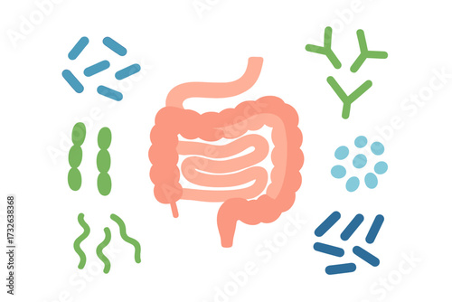Human microbiome and gut flora health concept. Abstract intestines with healthy bacteria pattern. Gastroenterologist illustration. Bifidobacterium, lactobacilli, prebiotic vector.