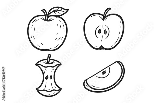 Apple fruit icon set. Hand drawn doodle vector illustration. Whole, half, slice and eaten core. Healthy food concept for diet, organic, natural, vegetarian food. Outline sketch.