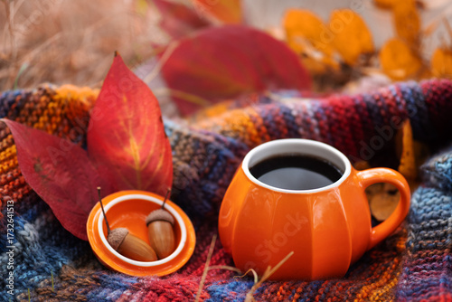 An autumn cup of hot coffee, a knitted warm scarf and autumn leaves