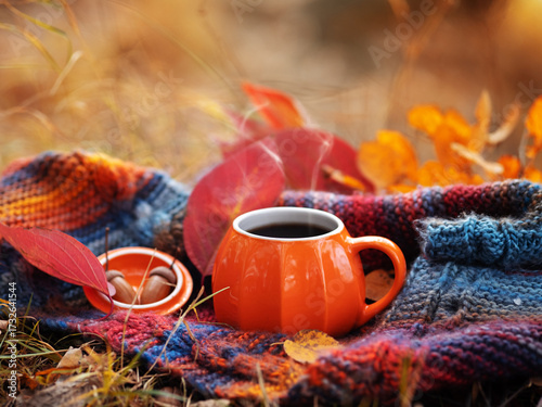 Hot steaming cup of coffee on a warm knitted scarf in an autumn park