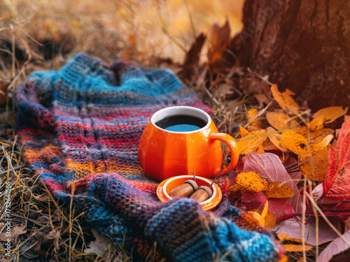 Autumn seasonal composition, orange mug of hot coffee with lid on a knitted warm scarf in an autumn forest or park.