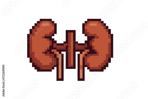 Kidneys pixel art icon. Human internal organ symbol. Urology, nephrology, or healthcare concept. 8-bit retro video game style sprite. Anatomy vector illustration for health.