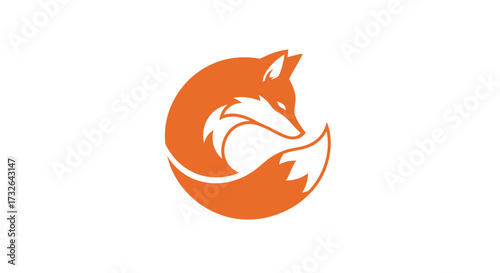 Orange fox curls on itself
