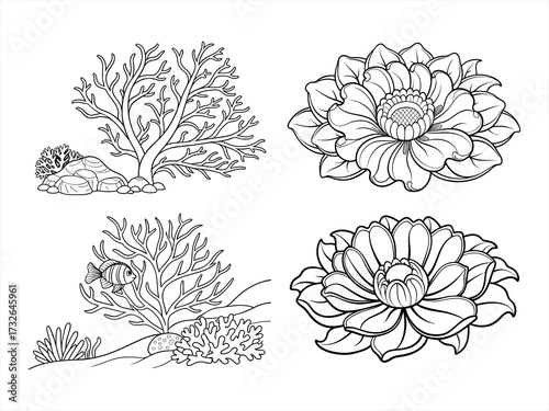 coloring page line art the flower black vector bundle
