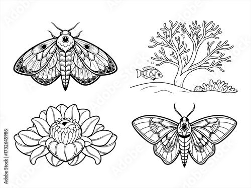 coloring page line art the flower black vector bundle