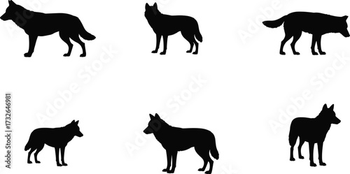 Wolf silhouettes, canine animal illustration, wild dog shapes, predator outline, black and white design, wildlife concept, hunting posture, nature artwork, zoology