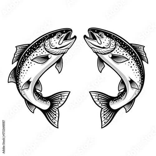 Artistic rendering of two salmon fish swimming upstream facing each other detailed sketch style silhouette