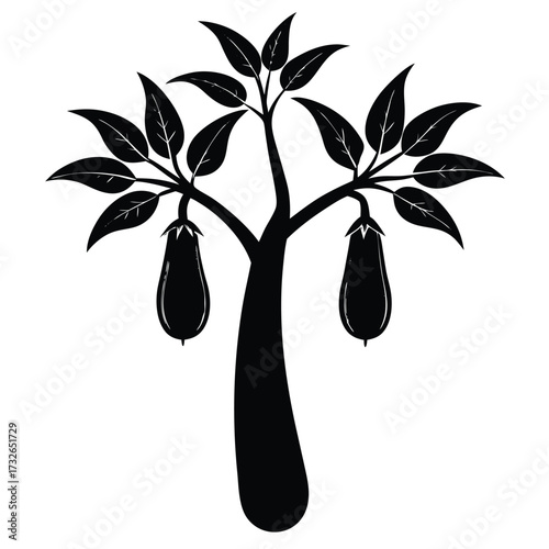 eggplant tree with long slim eggplants