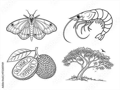 coloring page line art the moth black vector bundle