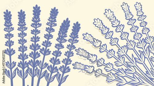 Elegant lavender sprigs create a calming ambiance, ideal for spa designs, invitations, and aromatherapy promotions offering serenity and natural beauty