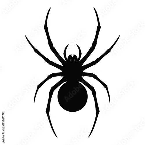 Silhouette of a black widow spider an arachnid symbol of danger and halloween silhouette