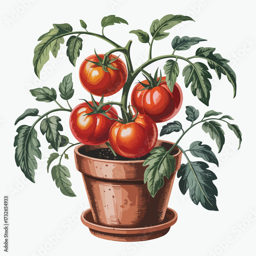 Organic red tomatoes, fresh and ripe, nestled in a wooden bowl and basket