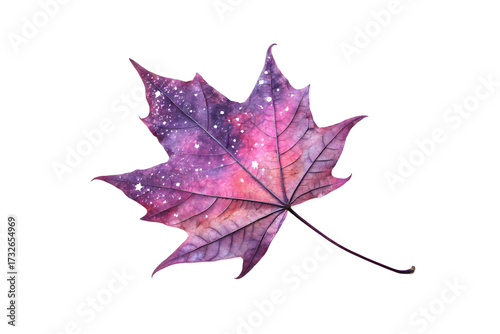 Galaxy painted maple leaf isolated on transparent background