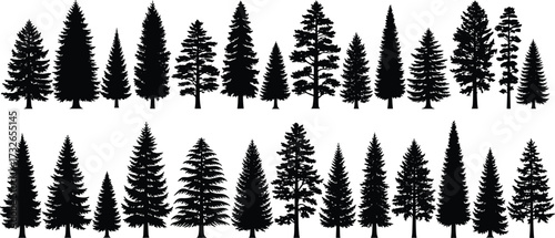 Conifer tree silhouettes, diverse pine shapes, evergreen forest icons, botanical illustration, black vector trees, foliage comparison, forestry design, nature graphic elements