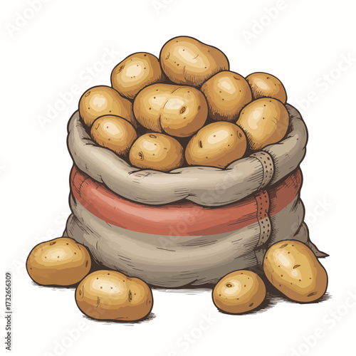 Fresh organic raw brown potatoes in a basket isolated on white