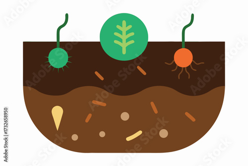 Realistic Soil Food Web with Root Hair, Bacteria, Protozoan, Nematode Vector
