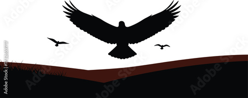 Silhouette of birds flying over hills, dramatic nature scene, wildlife freedom concept, large bird in flight, minimal landscape, peaceful sky background