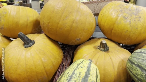 Wallpaper Mural Pile of pumpkins Torontodigital.ca