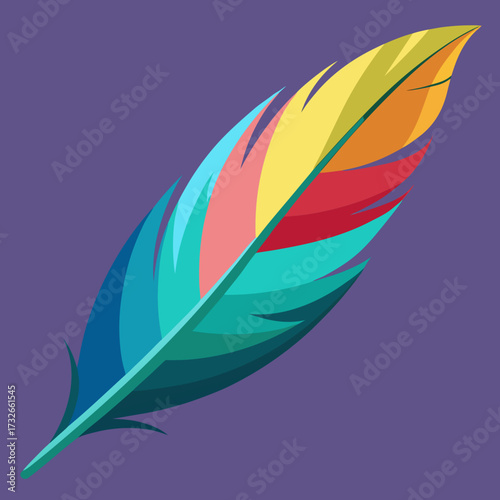 vector illustration of colorful feather