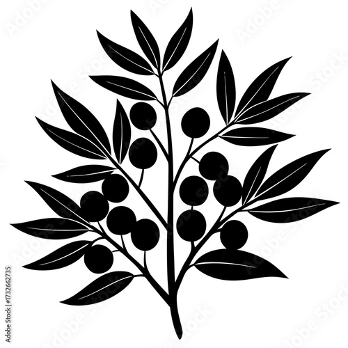 black and white background