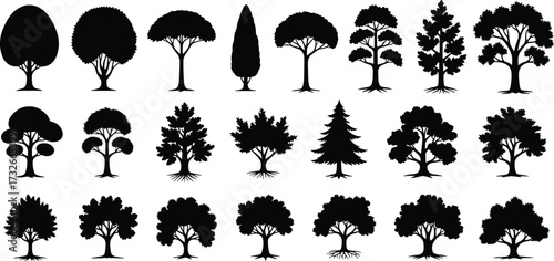 Tree silhouette collection, diverse canopy and trunk styles, botanical illustration, black vector trees, nature design elements, foliage shapes, tree morphology set