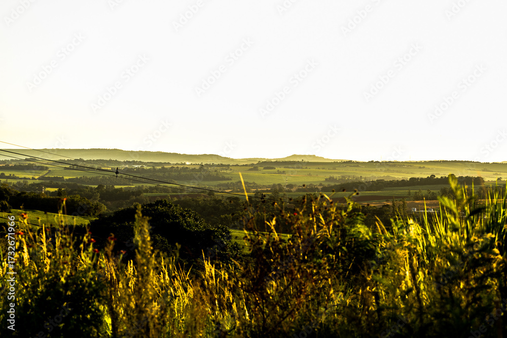 Fototapeta premium sunset in brazil