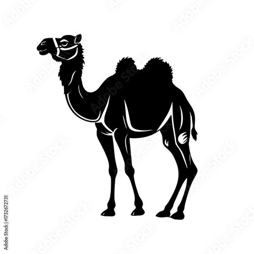 Camel standing in a desert landscape with a clear sky and warm sunlight during the afternoon