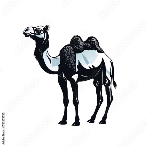 Camel standing in a desert landscape with a clear sky and warm sunlight during the afternoon