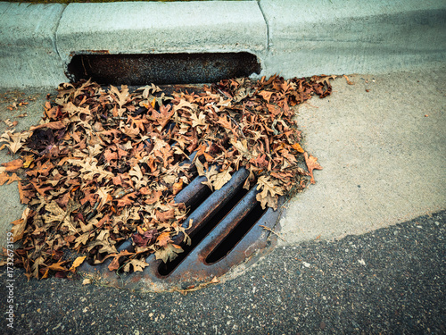 Принти на полотні A storm drain with a fallen autumn leaves, potentially causing a blockage and impacting water runoff and sewer systems