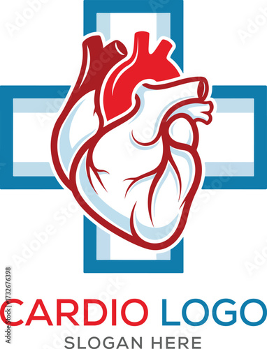 Anatomical human heart cardio logo with blue medical cross for hospital and cardiology clinic branding