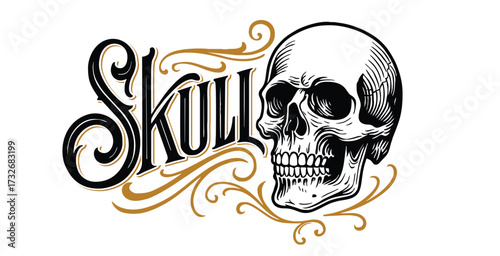 An engraved human skull illustration paired with ornate "Skull" typography.