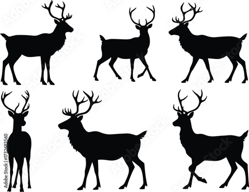 Vector illustration of deer silhouettes with large antlers standing and walking, wild animal shapes for nature, wildlife, hunting, and forest design.