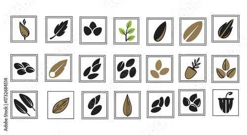 Collection of hand drawn botanical icons featuring seeds and leaves.