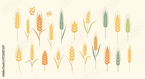 Collection of Wheat Stalks in Various Colors and Shapes.