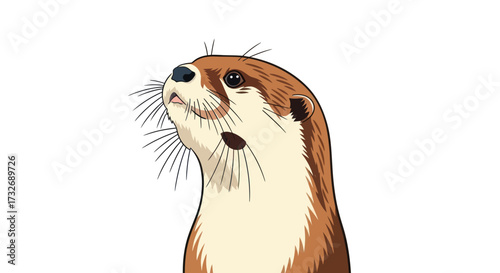 Illustrated portrait of a curious otter looking up.