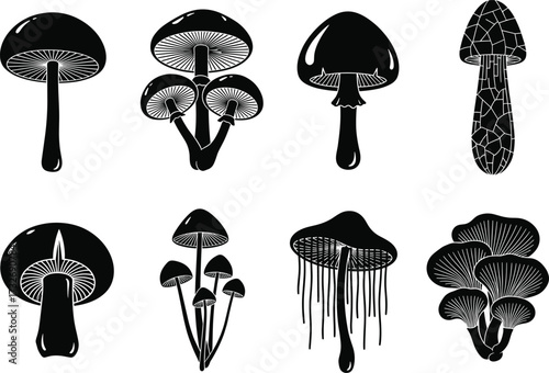 Black silhouette mushroom vector illustration collection featuring different fungi species, edible and wild forest mushrooms, botanical elements for design