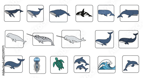 Vector Icon Set of Various Whales Dolphins and Sea Life.