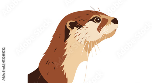 Illustrated portrait of a cute brown river otter looking up.