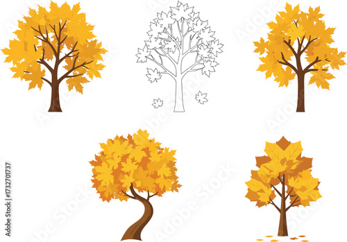 Autumn tree illustration set, fall foliage clipart, seasonal nature graphics, vector trees, coloring page template, eco design, educational bundle