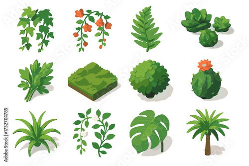 Philodendron flowering trailing icons icon plant jasmine shrub garden vector cactus small