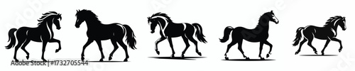 vector black and white silhouette of a horse