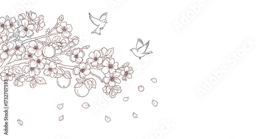 Delicate cherry blossoms with gentle birds flying amongst falling petals signalling the arrival of spring.